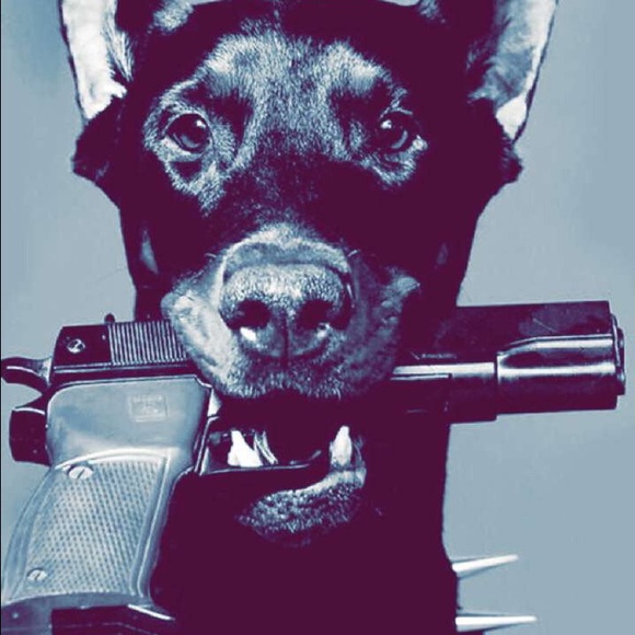 Liban Hassan - Poshmark Profile Picture of Liban Hassan (@baasaaye) on Poshmark