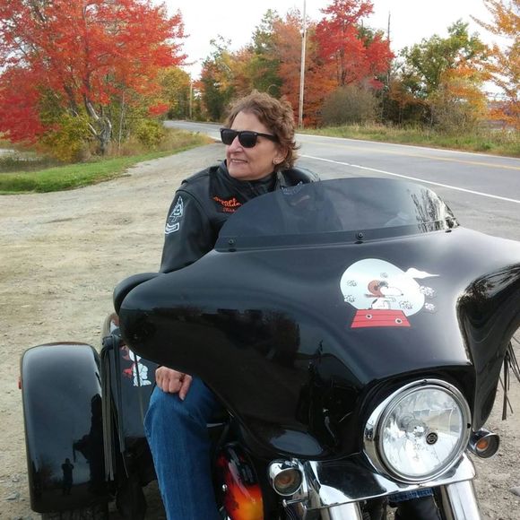 Profile Picture of Diane Foster (@yorkieladi) on Poshmark