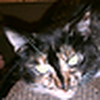Profile Picture of nate&kim (@nate&kim) on Flickr