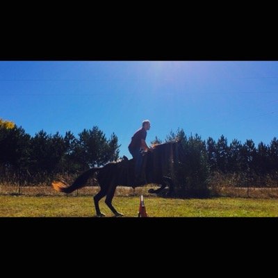 Profile Picture of Travis Case (@tjcase14) on Twitter