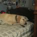 Profile Picture of Fletcher Schaffer (@fletcher.schaffer.3) on Facebook
