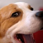 Profile Picture of Richard Crompton (@richmonster) on Instagram