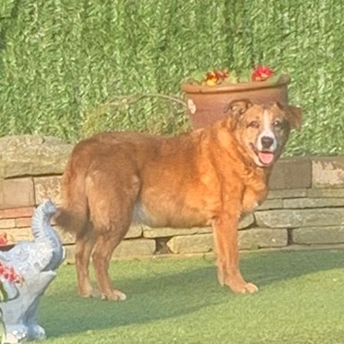 Profile Picture of Jamie Shearer 🏴󠁧󠁢󠁳󠁣󠁴󠁿💙 (@jamie_shearer) on Tiktok