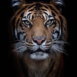 Profile Picture of Kurt Roberts (@the_grip_reaper) on Instagram