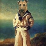 Profile Picture of Toby Williamson (@tobyjw10) on Instagram