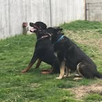 Edward Picciotti - Facebook Profile Picture of Edward Picciotti (@edward.picciotti.5) on Facebook