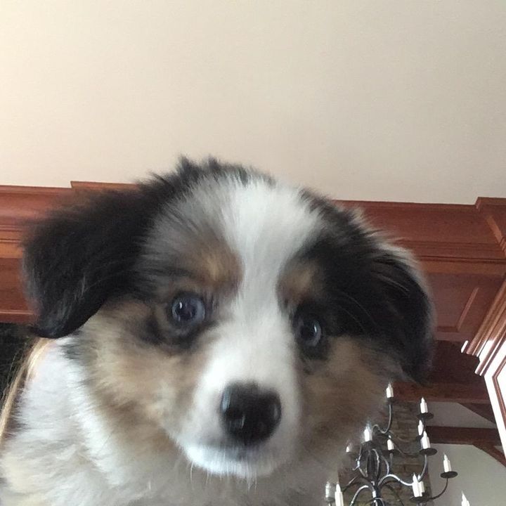 Profile Picture of Maggie Hodges (@maggiespams1212.p1) on Tiktok