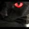 Profile Picture of James Dragon (@james.dragon.16) on Facebook