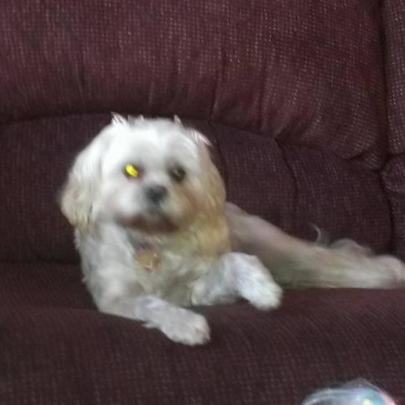 Michael Ferragamo - Poshmark Profile Picture of Michael Ferragamo (@ferragamo12) on Poshmark