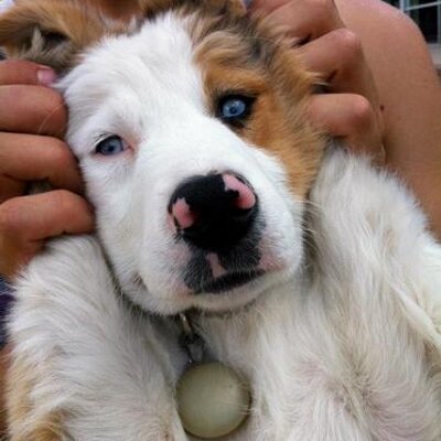 Profile Picture of Chris Ciufo (@chrisaciufo) on Twitter