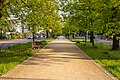 Profile Picture of Ossoliński Alley, Bydgoszczon Wikipedia