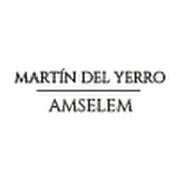 Profile Picture of Martín Del Yerro Amselem (@martindelyerroamselem) on Youtube