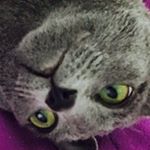 Profile Picture of 신희민 (@s.impler) on Instagram