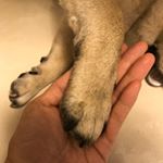 Profile Picture of Michael Yim (@mysiuchoi) on Instagram
