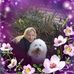 Profile Picture of Jennifer Craig (@jennifer.craig.9809) on Facebook