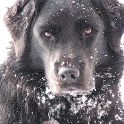 Profile Picture of Nancy Hudak (@HudakNancy) on Twitter