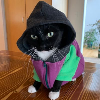 Profile Picture of Jenna Wade (@jlteti) on Twitter