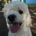 Profile Picture of Danny Rojas (@danny.filla.7) on Facebook