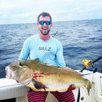 Profile Picture of Matthew Colonna (@matthewcolonna) on Instagram