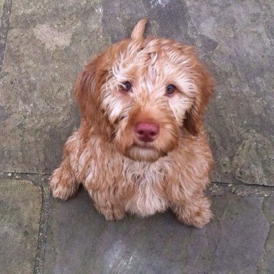 Profile Picture of Jon Tracey (@Jon1Tracey) on Twitter