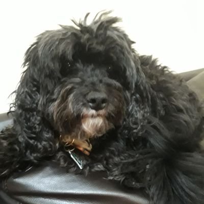 Profile Picture of Justin Cantor (@Jeter211) on Twitter