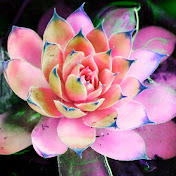 Profile Picture of Jasmine Goodwin (@jasminegoodwin2322) on Youtube