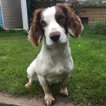 Profile Picture of Matt May (@matt.may7) on Instagram