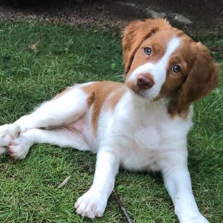 Profile Picture of Jim Cheeks (@jim.cheeks) on Facebook