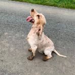 Profile Picture of Barbara Whittaker (@barbara.whittaker.988) on Facebook