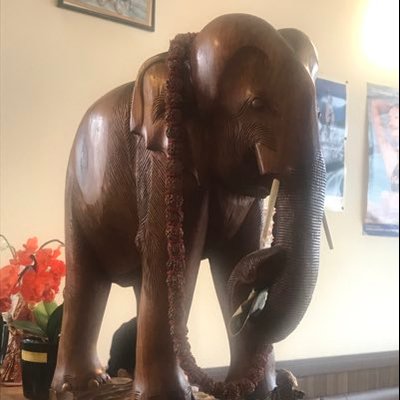 Profile Picture of Nick Koo (@hu55878487) on Twitter