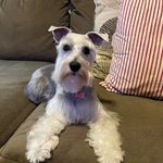 Profile Picture of Andy Hulsey (@andy_hulsey71) on Instagram