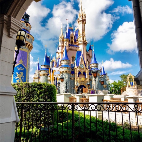 Profile Picture of Felice Foster (@disneymom59) on Poshmark