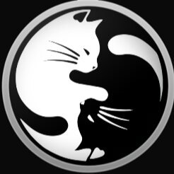 Profile Picture of Dawn Ferro (@dawn_ferro) on Twitter