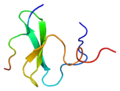 Profile Picture of YAP1 - Wikipediaon Wikipedia
