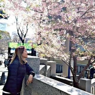 Profile Picture of Dy Solomon (@solomoncindy) on Instagram