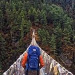 Profile Picture of Toby Godfrey (@toby.dogfrey) on Instagram