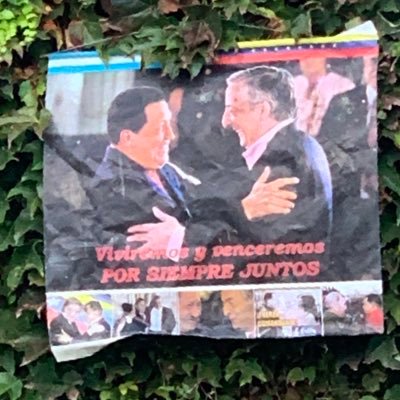Profile Picture of Hugo Jorge Fernandez (@HugoJorgeFerna1) on Twitter