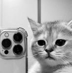 Profile Picture of David Sic (@david.sic.94) on Facebook