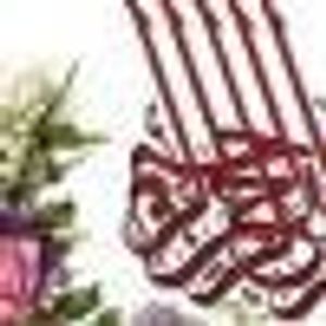 Profile Picture of Marwa Hassan (@413965613) on Myspace