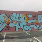 Profile Picture of Joyce Hogan (@joycehoganf) on Instagram