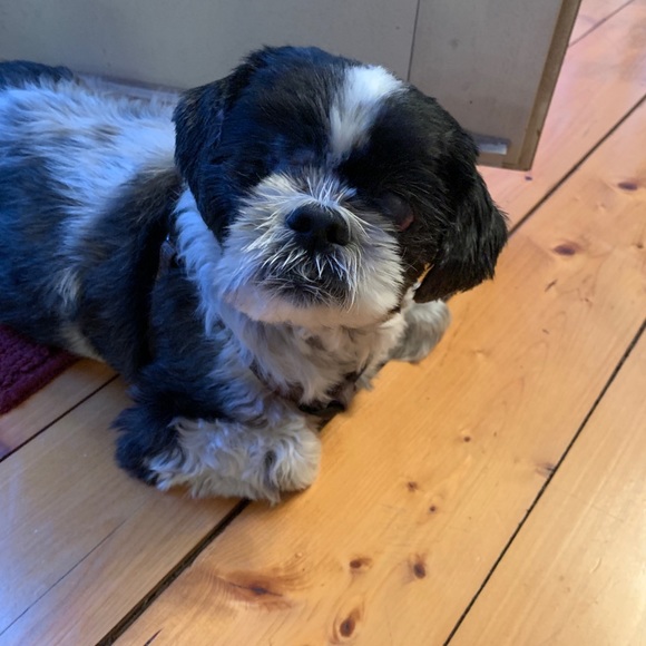 Profile Picture of Michael Frost (@dreadfull8) on Poshmark