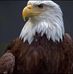 Profile Picture of Joseph Waiblinger (@joseph.waiblinger.1) on Facebook