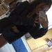 Profile Picture of Charlotte Yoder  (@charlotteyoder0171) on Pinterest