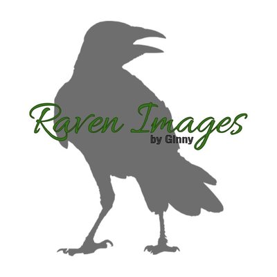 Profile Picture of 𝙶𝚒𝚗𝚗𝚢 𝙳𝚞𝚗𝚌𝚊𝚗 (@RavenImages) on Twitter