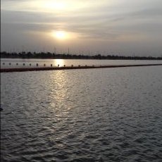 Profile Picture of Omar Shaker (@omarshaker1236) on Twitter