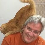 Profile Picture of Brian Ceccarelli (@brianceccarelli) on Instagram