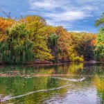 Profile Picture of Coughlan (@coughlancraige) on Instagram