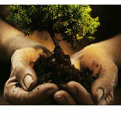 Profile Picture of ANDREW TREE SERVICE (@andrewtreeservice2614) on Youtube