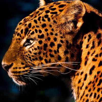 Profile Picture of Katelyn Briggs (@kbriggs1001) on Twitter