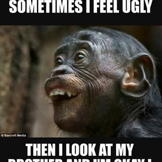 Profile Picture of Adam Searcy (@AdamSearcy2) on Twitter